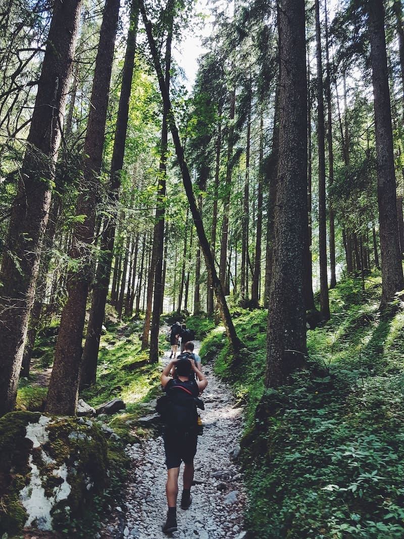 Hiking in the Smoky Mountains: A Guide to the Best Trails